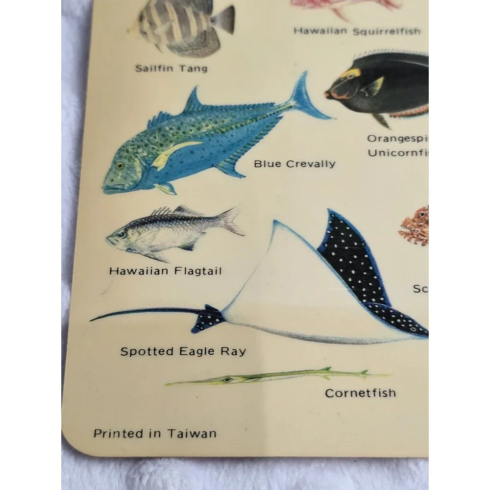 Vtg 1983 Guide to Hawaiian Reef Fish Plastic Card Natural World Press Ephemera